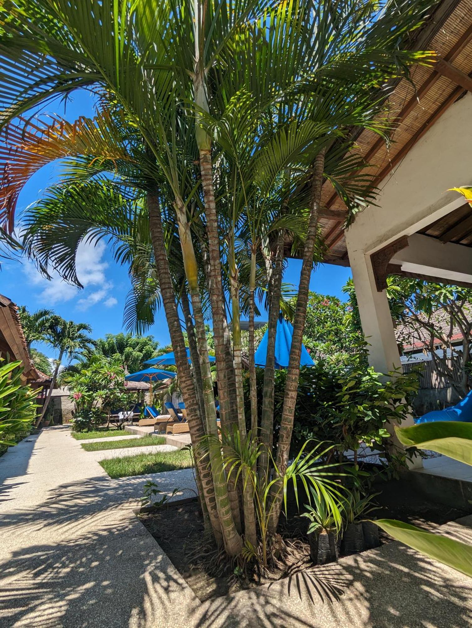 Indigo Bungalows Gili Trawangan Exterior photo