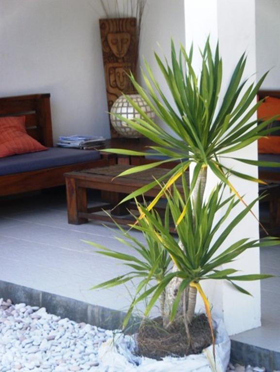 Indigo Bungalows Gili Trawangan Exterior photo